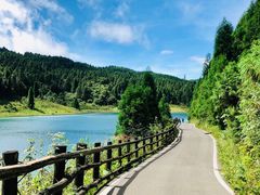 -武陵山森林公园