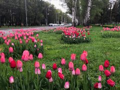 -莫斯科大学