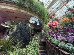 -正佳雨林生态植物园