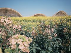 -中国天府农业博览园