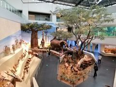 -武汉园博园(武汉自然博物馆)