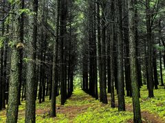 -草原天路(张北县)