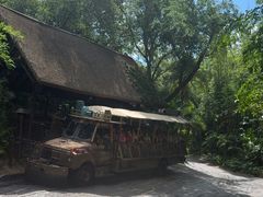 -奥兰多迪士尼动物王国乐园