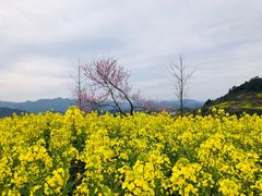 -石潭村