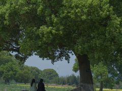 -良渚古城遗址公园