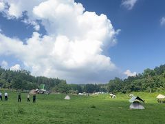 -武陵山森林公园