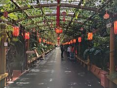 -东方华地城湿地温泉度假区