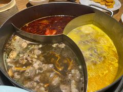 -青瓷火锅料理(西单大悦城店)