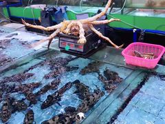 -渔民新村(番禺总店)