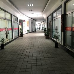 -变美丽半永久纹眉连锁·机器野生眉·洗眉