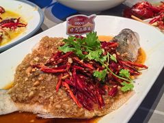 -杨氏青龙虾·羊蝎子(金盛路总店)
