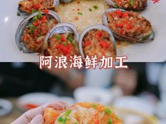 -亚龙湾热带天堂森林公园