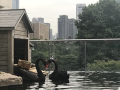 -行者书屋大堂吧 ·下午茶(南京圣和府邸酒店)