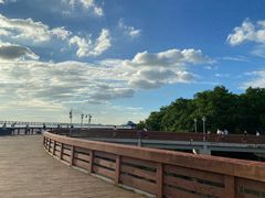 -宝安西湾红树林湿地公园