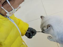 -怪兽屋·羊驼·猫咖·狗咖(俊华广场店)