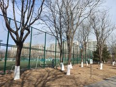 -回龙观体育文化公园
