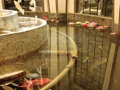 -世纪缘国际会议中心·中餐厅(百家湖店)