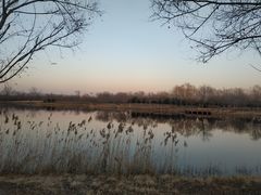 -东郊湿地公园