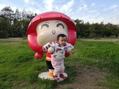 -上海长兴岛郊野公园