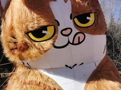 -青藏高原野生动物园