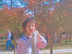 -广州市帽峰山景区