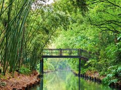 -同里国家湿地公园