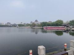 -莲花池公园