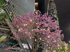 -深圳湾万象城(南山店)