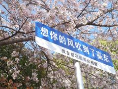 -高东镇樱花园