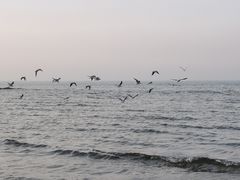 -北戴河东海水浴场
