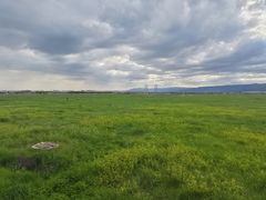 -敕勒川草原