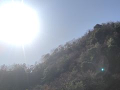 -秦岭风景区