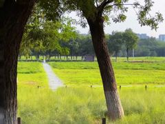 -汉长安城未央宫国家考古遗址公园