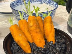 -丁老爷子苏香圆