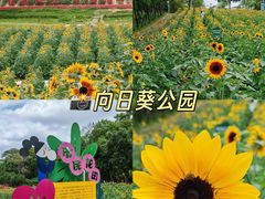 -米漾酒店(深圳会展中心岗厦地铁站店)