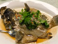 -宜兴隆家宴·私房菜(泰安华庭店)
