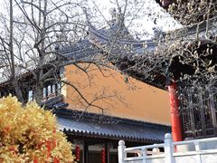 -灵谷景区