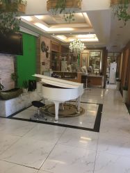 -逸丝风尚