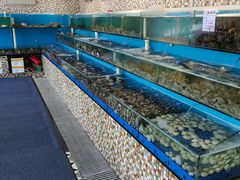 -港畔赶海蒸汽海鲜烧烤自助(仙螺岛店)