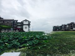 -南诏风情岛