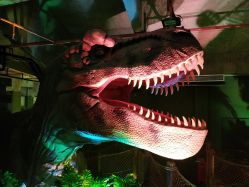 -恐龙探索乐园(磁器口店)