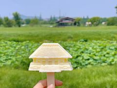 -良渚古城遗址公园