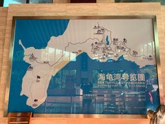 -广东惠东海龟国家级自然保护区
