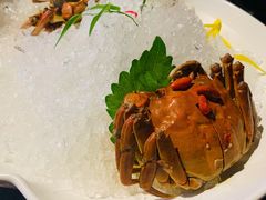 枸杞菊花熟醉蟹-蟹榭·本帮江浙菜·蟹宴(五角场合生汇商场店)