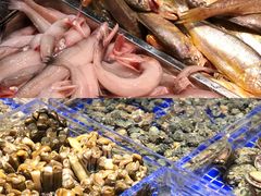 -高佳庄·舟山海鲜(海景旗舰店)