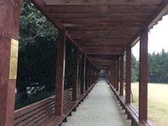 -南京十朝历史文化园-停车场