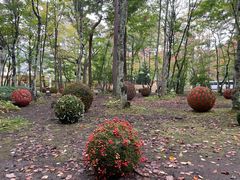 -轻井泽高原教堂