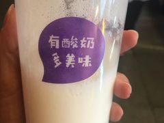 -一只酸奶牛(八一路店)