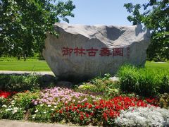 -御林古桑园