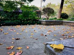 -杭州半山国家森林公园